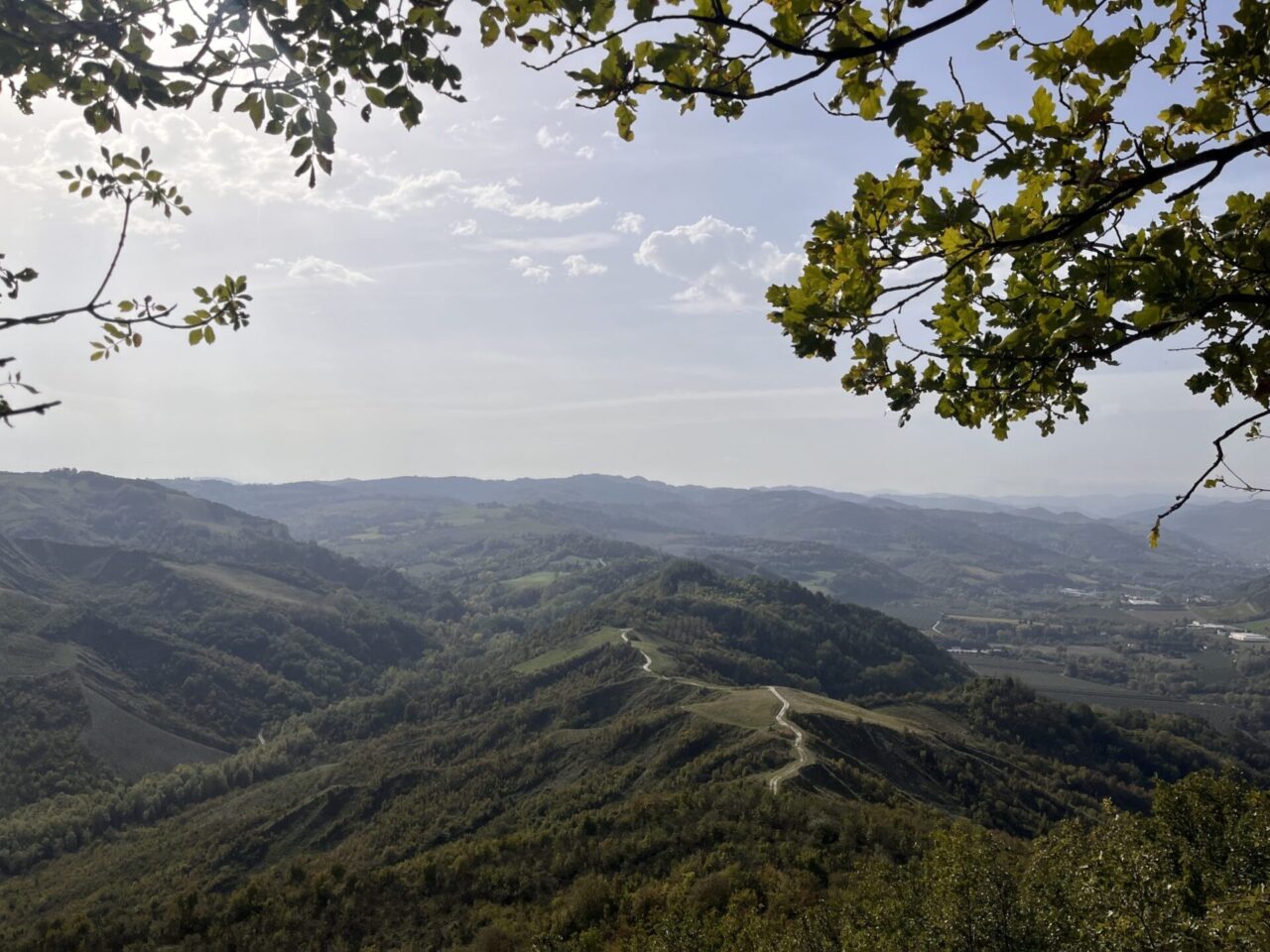 Anello di Ceparano (72)