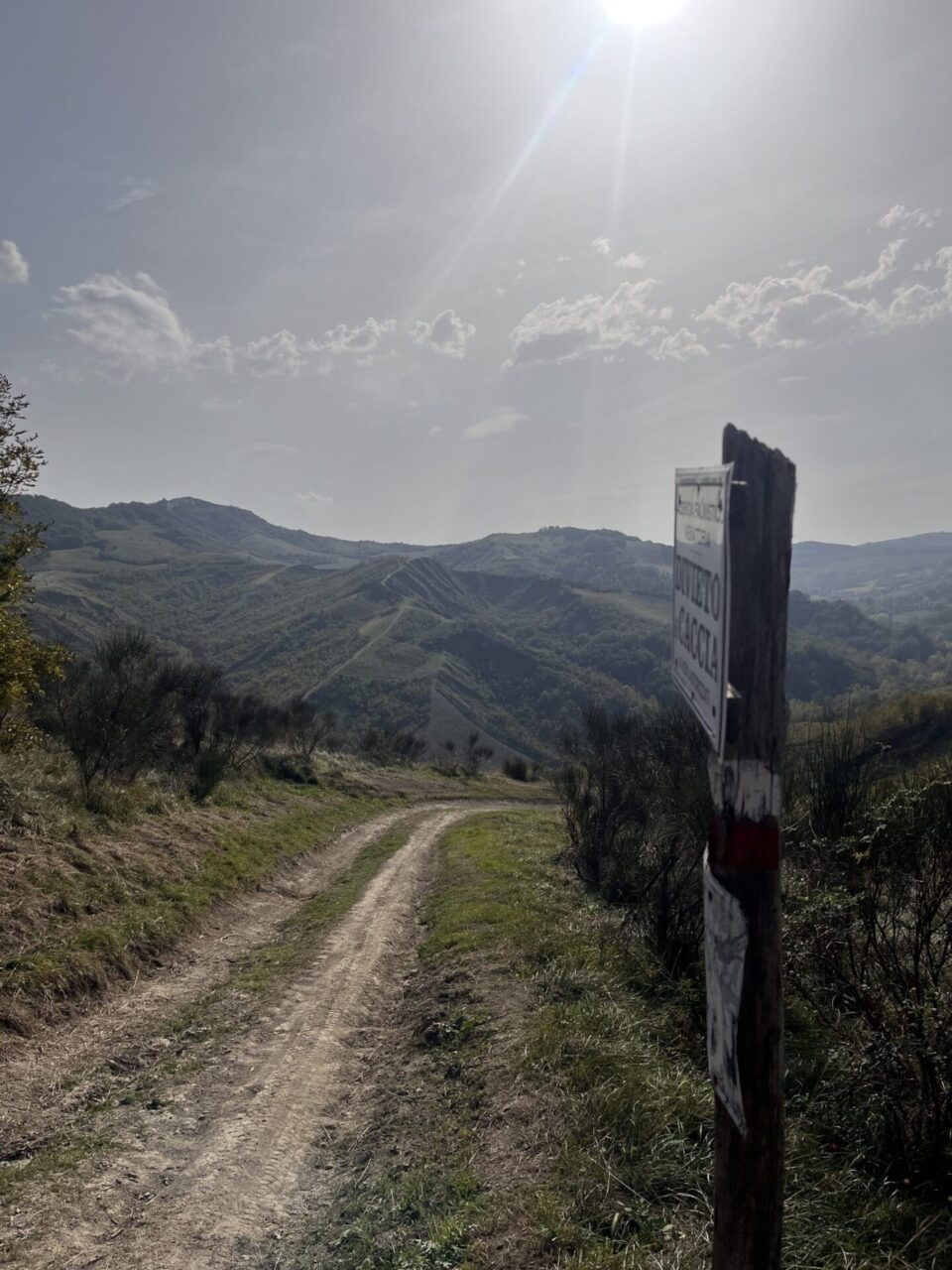 Anello di Ceparano (9)