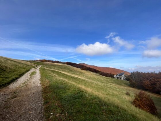 Trekking monte falco e monte falterona