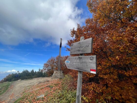 Trekking monte falco e monte falterona