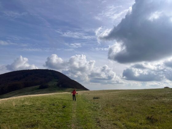 Trekking monte falco e monte falterona