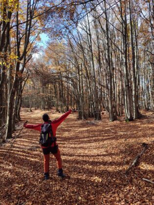 Trekking monte falco e monte falterona