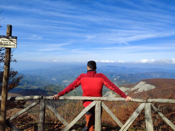 Trekking monte falco e monte falterona
