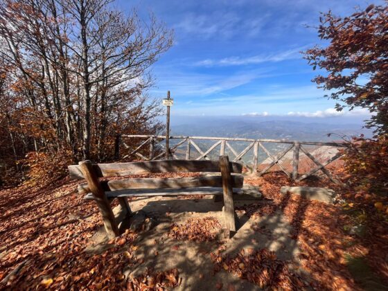 Trekking monte falco e monte Falterona