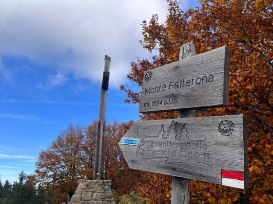 Trekking monte falco e monte falterona