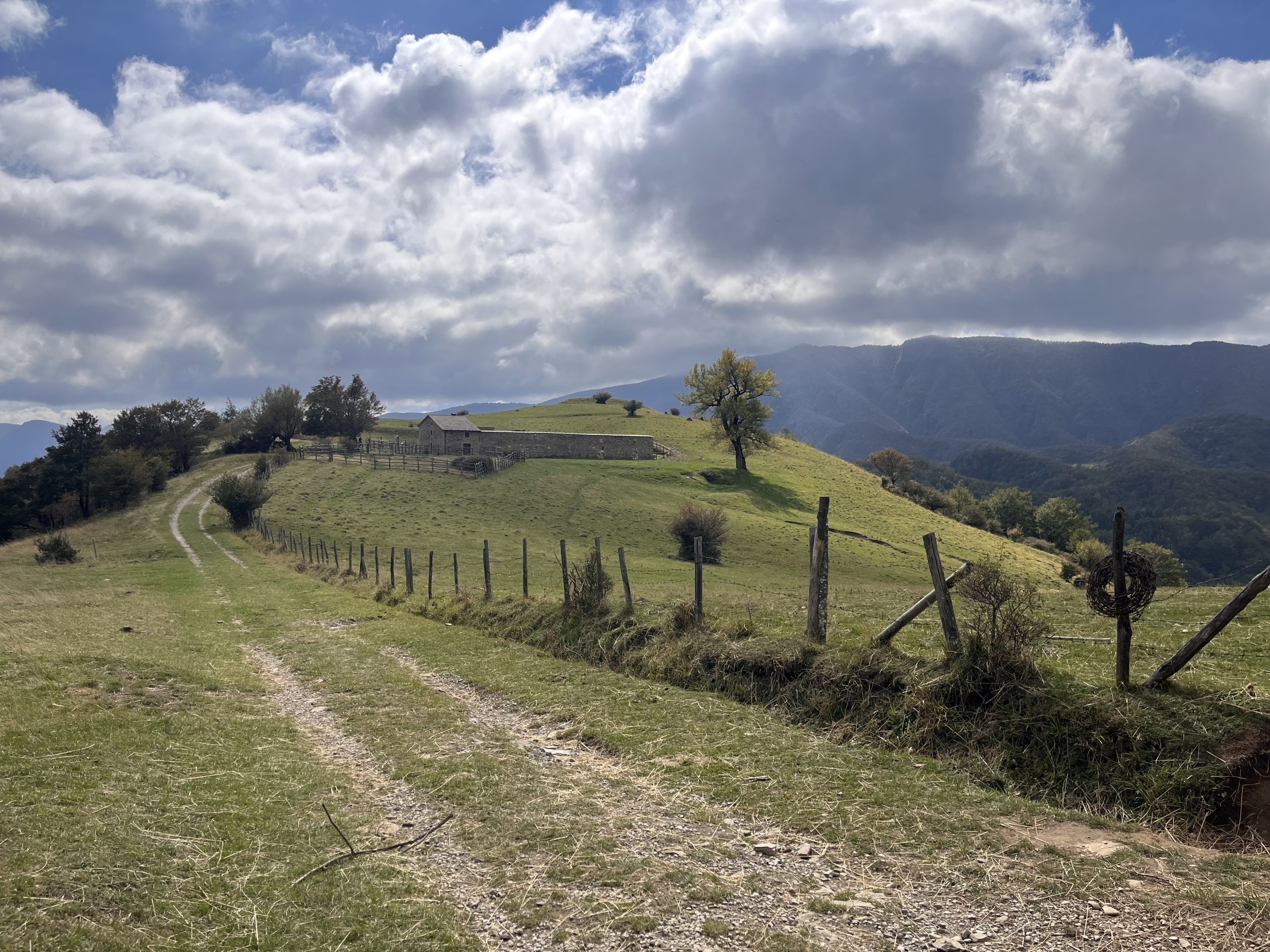 Ridracoli - San Paolo in Alpe (10)