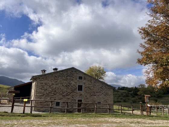 Trekking san paolo in Alpe