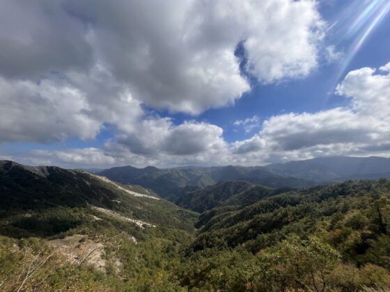 Vista sulle Foreste Casentinesi