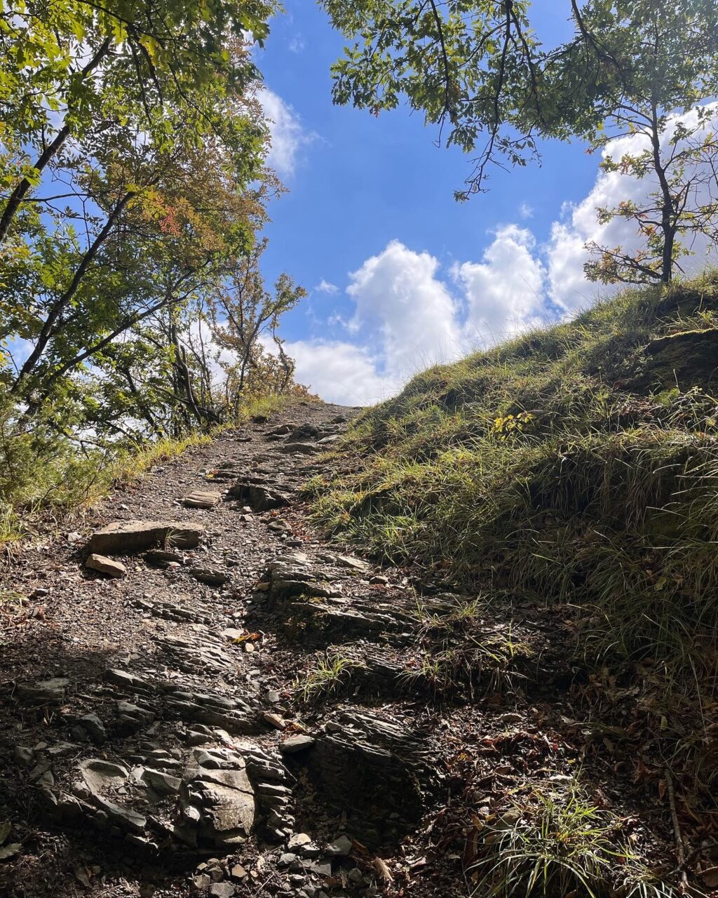 Ridracoli - San Paolo in Alpe (33)