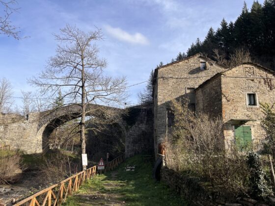 Trekking monte tiravento e premilcuore