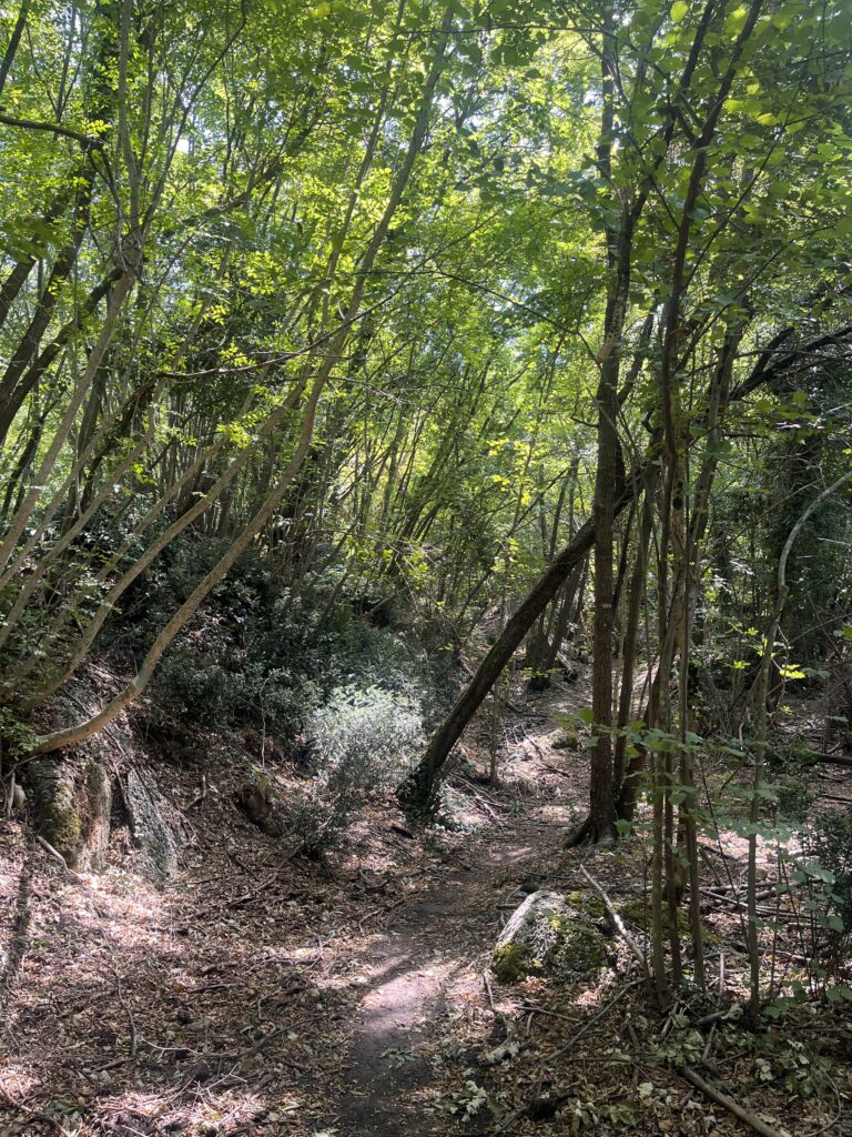 Sentiero dei cristalli su monte Mauro (12)