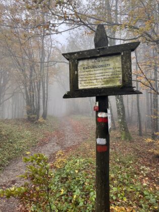 Trekking foreste casentinesi