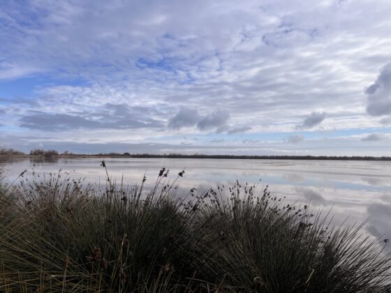 Trekking nel parco del delta del Po