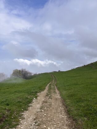 Monte Carpegna