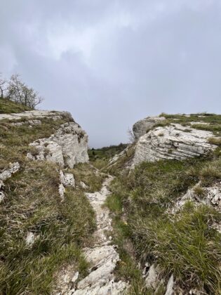 Monte Carpegna
