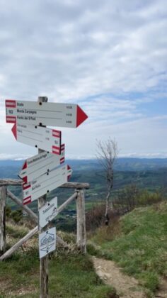 Monte Carpegna