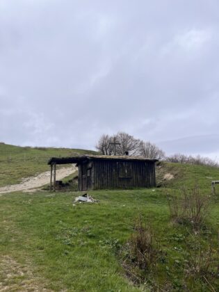 Monte Carpegna
