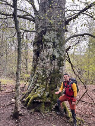 Monte Carpegna