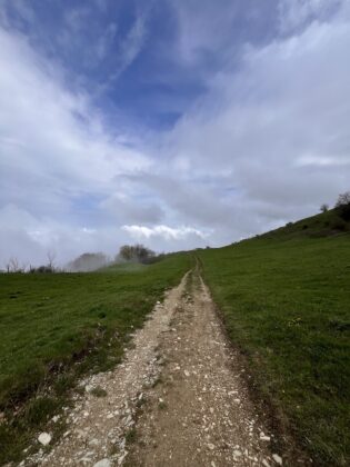 Monte Carpegna