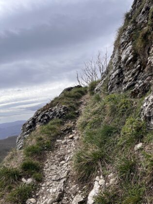 Monte Carpegna