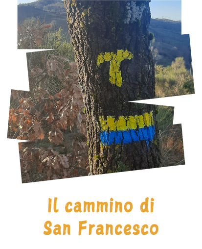 Cammino di san Francesco